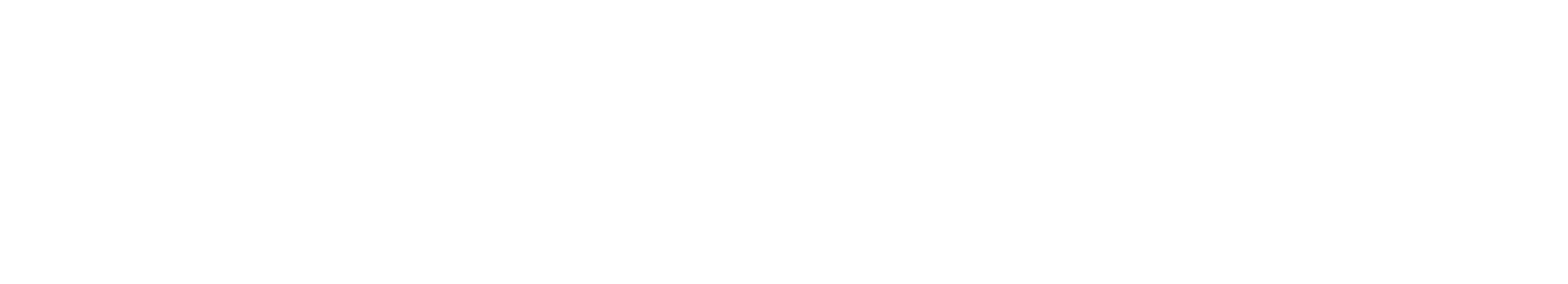 DroneDash